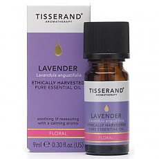 라벤더 에티컬리 하베스티드 에센셜오일(Lavender)